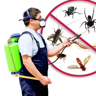 pest control Finley